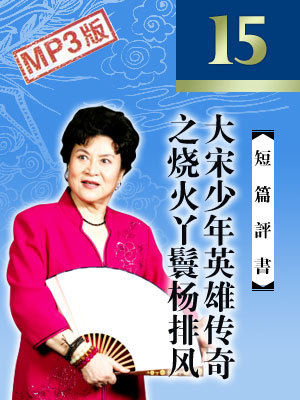 大宋少年英雄傳奇之燒火丫鬟楊排風(fēng)