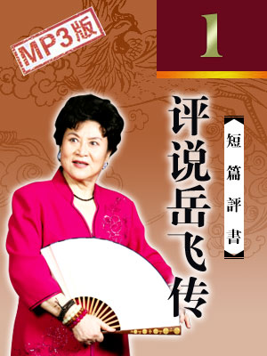 評說岳飛傳