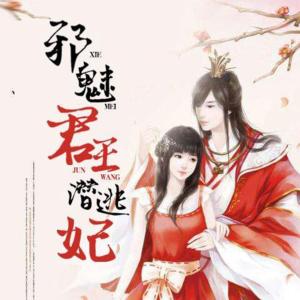 邪魅君王潛逃妃