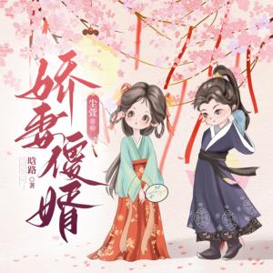 嬌妻傻婿