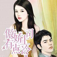 傲嬌上司有點冷