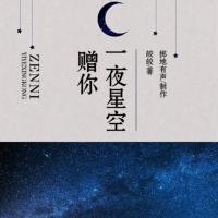 贈你一夜星空