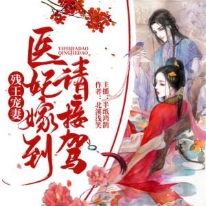 殘王寵妻：醫妃嫁到請接駕