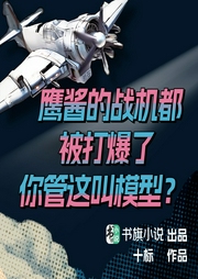 鷹醬的戰機都被打爆了，你管這叫模型