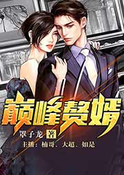 巔峰贅婿