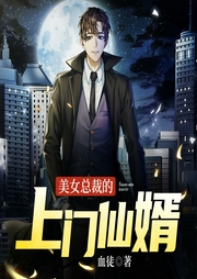 美女總裁的上門仙婿