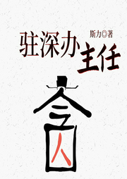 駐深辦主任