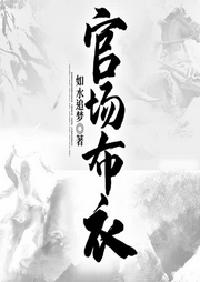 官場布衣