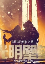 光明壁壘