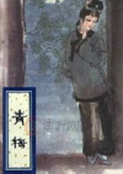 王yue波