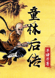 童林后傳