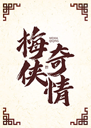 梅俠奇情