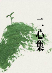 二心集