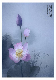 維摩經(jīng)講記 南懷瑾