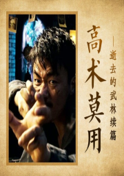 高術(shù)--莫用