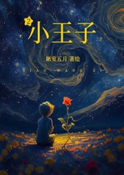 小王子2