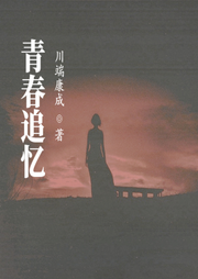 青春追憶