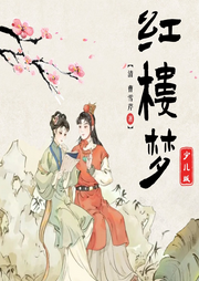 少兒經典閱讀紅樓夢少兒版