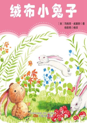 絨布小兔子