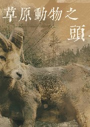 草原動物6：頭羊
