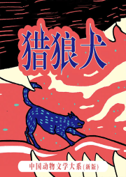 中國動物文學(xué)大系（新版）·獵狼犬