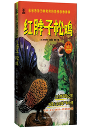 紅脖子松雞