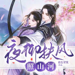 夜柳扶風照山河