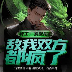 特工：發(fā)配后勤，敵我雙方都瘋了