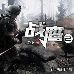 戰鷹2