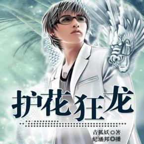 護花狂龍（慢更版）