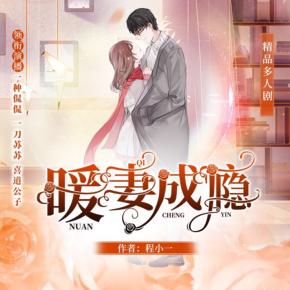 暖妻成癮