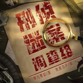 刑偵迷案調(diào)查組