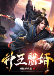 神王醫婿