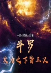 斗羅：火力之下皆正義