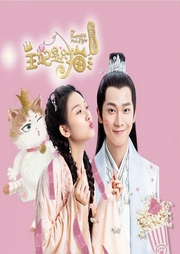 報告王爺，王妃是只貓
