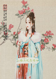 二婚王妃悲情女