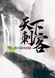 天下刺客