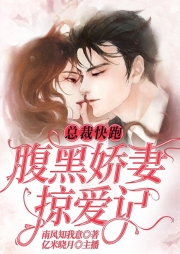 總裁快跑：腹黑嬌妻掠愛記