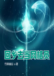 回鄉(xiāng)去當(dāng)網(wǎng)格員