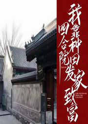 四合院之張建國的幸福生活