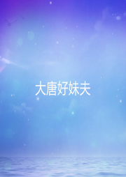 大唐好妹夫