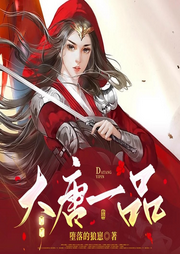 大唐一品