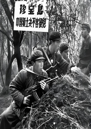 歷史篇II中蘇珍寶島之戰