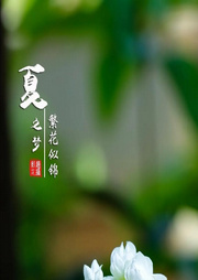 因果的真相