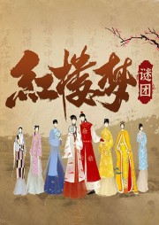 紅樓夢謎團：深度解析紅樓夢